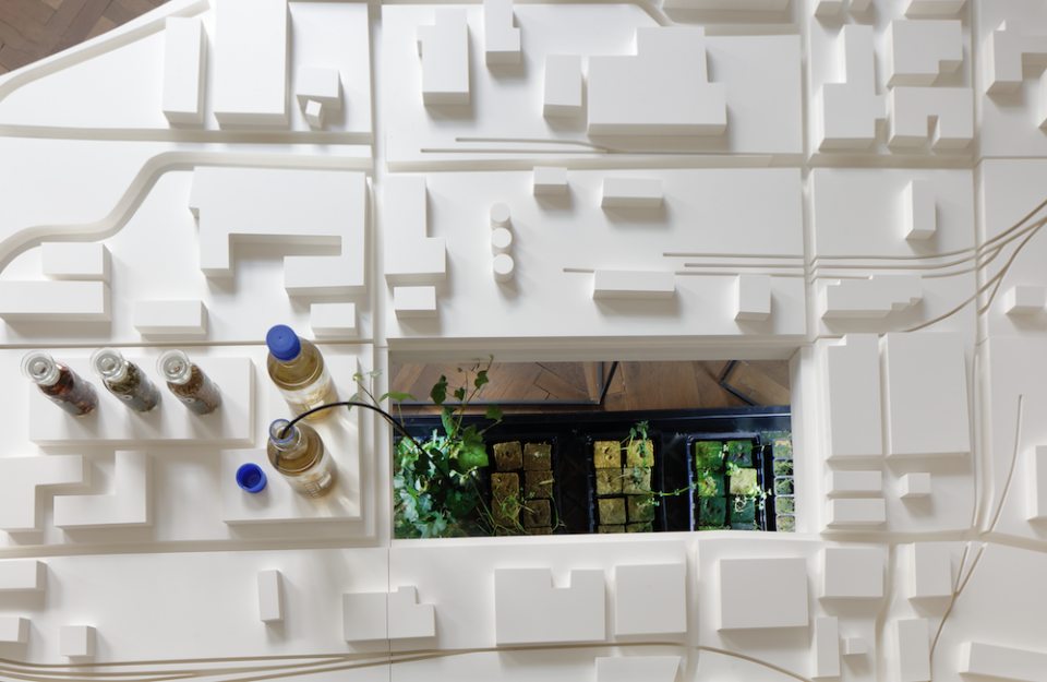 Zdena Kolečková, Chemistry Tea & Mercury Coffee. Perpetuum Racionalis, 2018-2024. S laskavým svolením autorky.