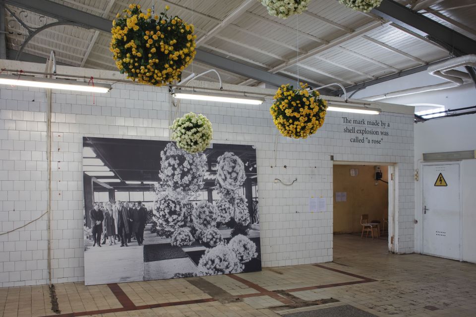 Spheres from Roses, 2023–2025