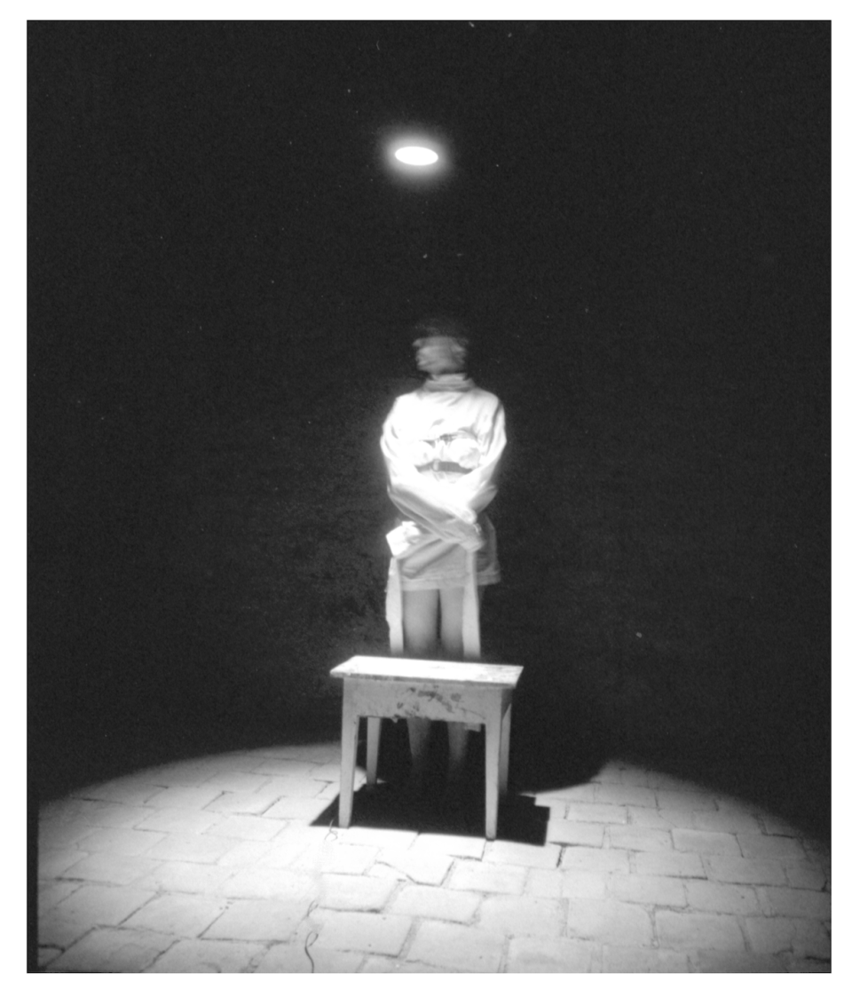 Silvie Milková, Persona X, 2024